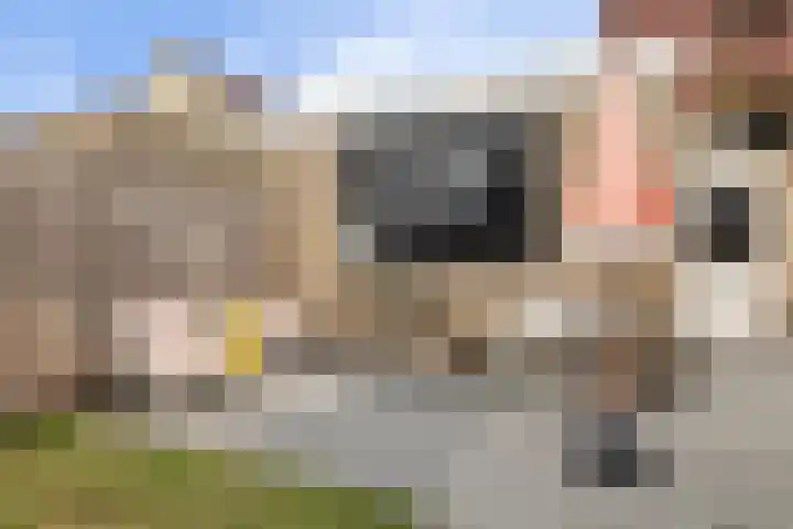De Keats 4 Berltsum thumbnail 50