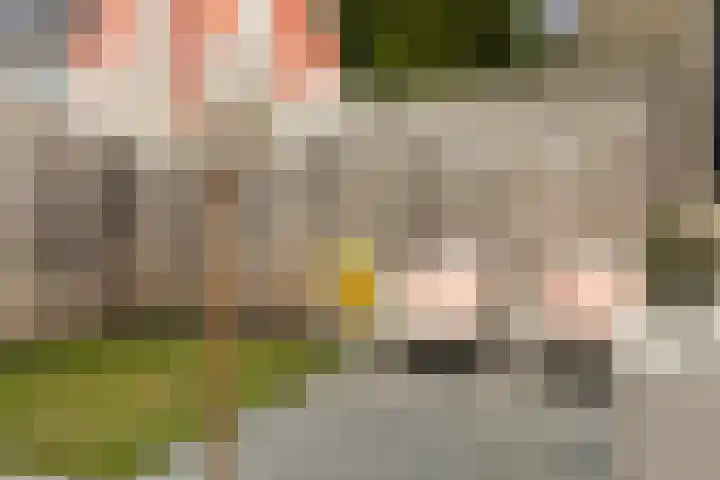 De Keats 4 Berltsum thumbnail 51