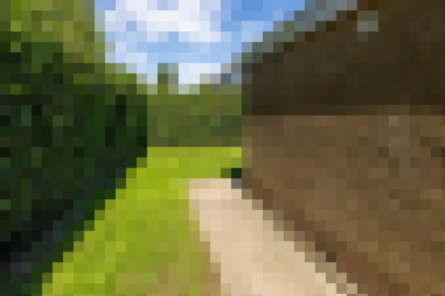de Keeg 1 St.-Annaparochie thumbnail 44