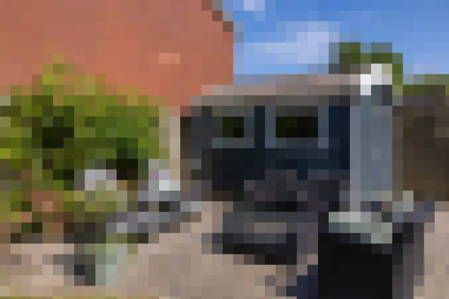 de Keeg 1 St.-Annaparochie thumbnail 47
