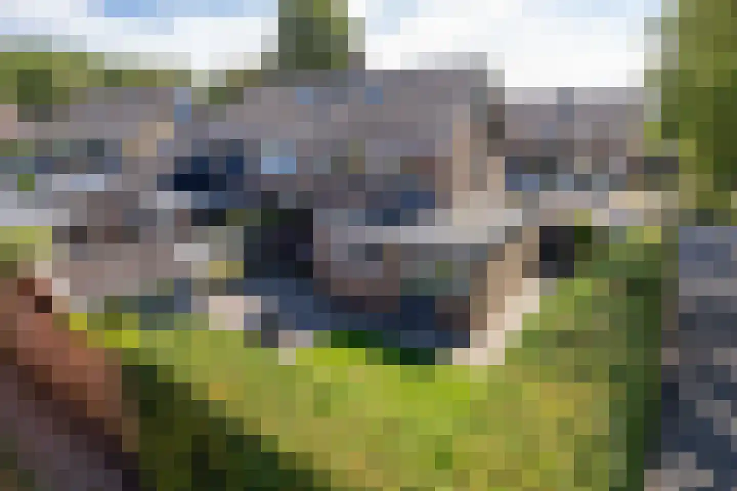 de Keeg 1 St.-Annaparochie thumbnail 5