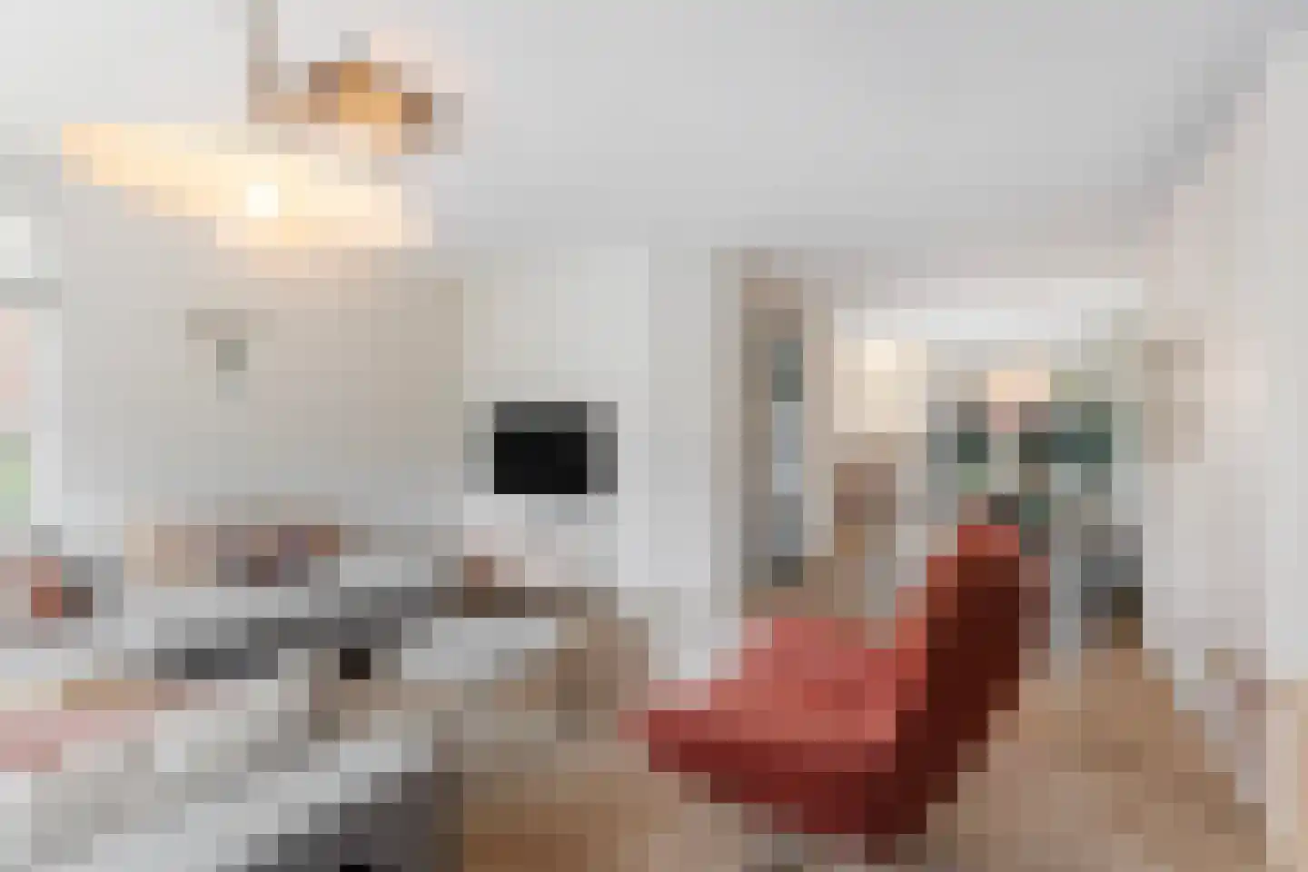 de Keegen 8 Kollum thumbnail 15
