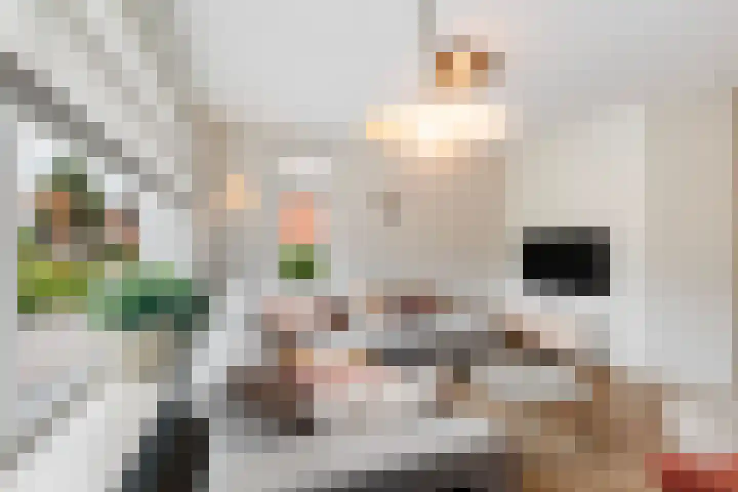 de Keegen 8 Kollum thumbnail 16