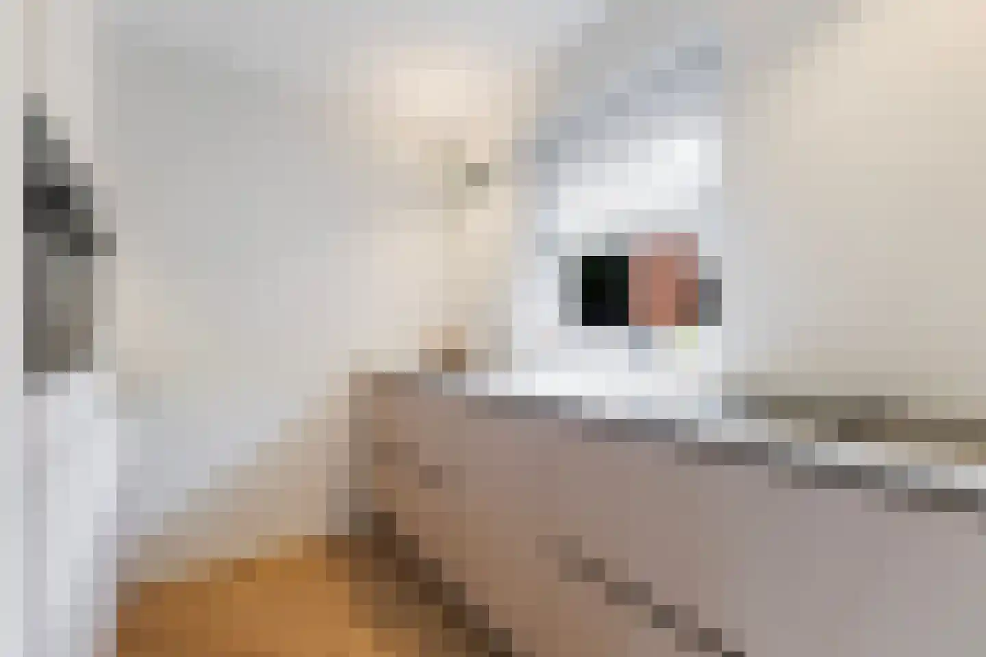 de Keegen 8 Kollum thumbnail 18