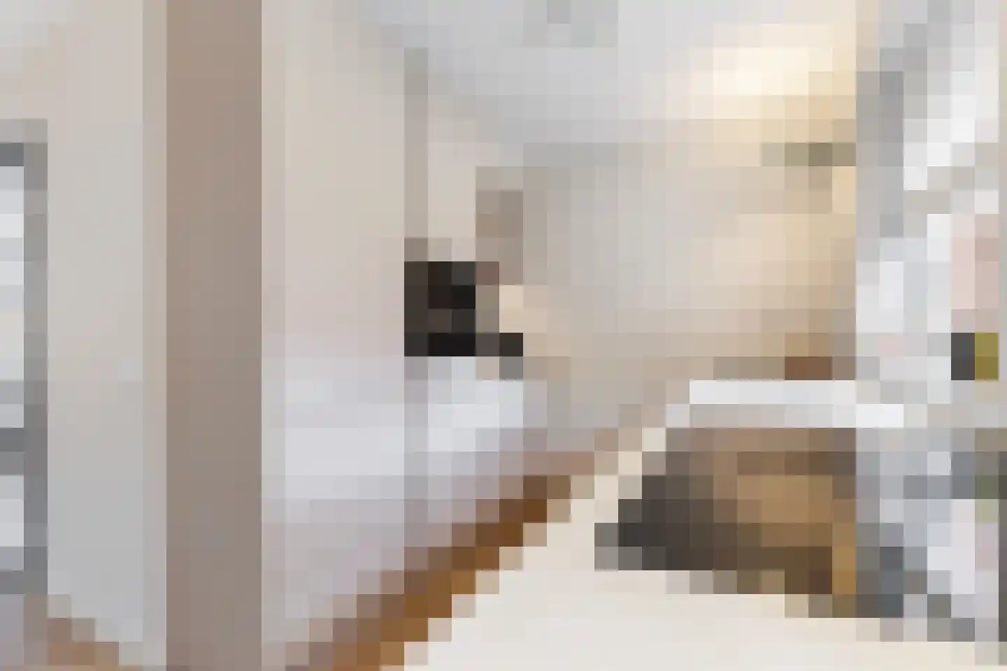 de Keegen 8 Kollum foto 2