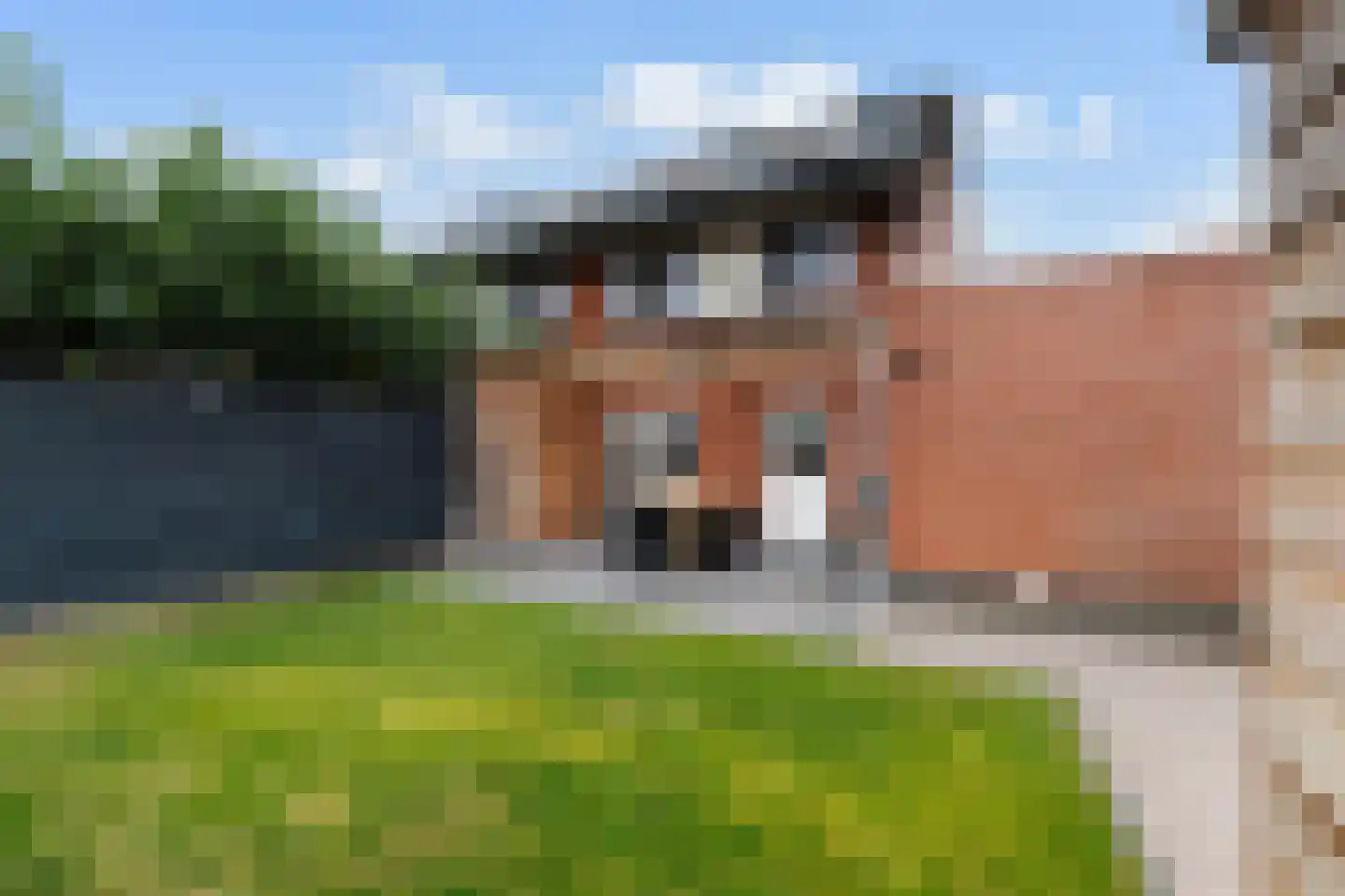 de Keegen 8 Kollum thumbnail 40
