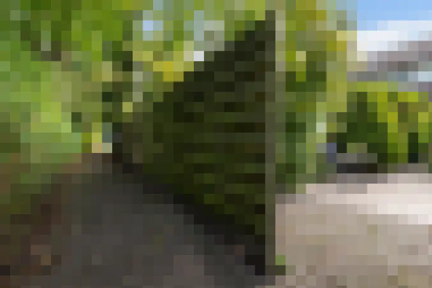 De Keeringen 54 Joure thumbnail 41