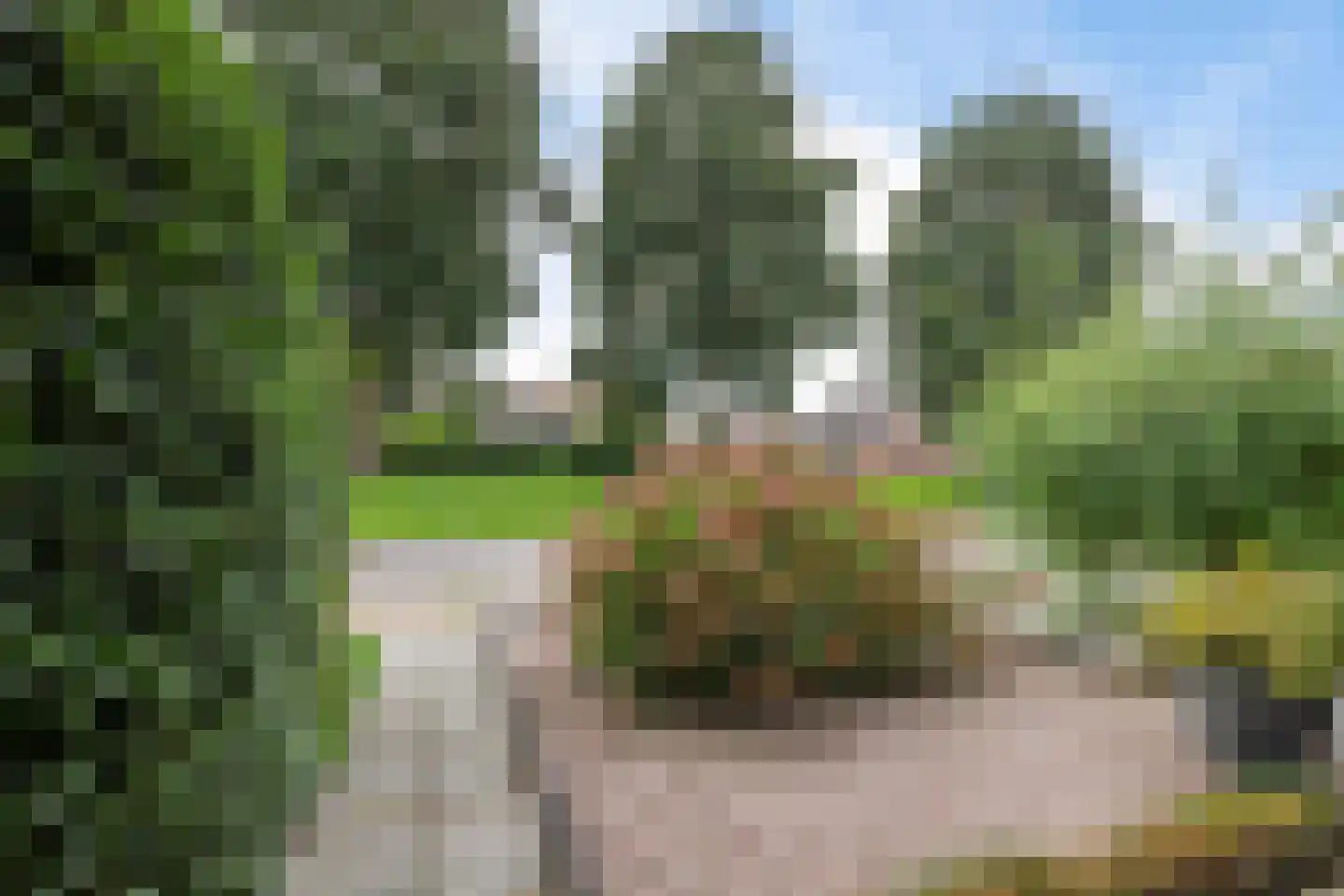 De Keeringen 54 Joure thumbnail 45