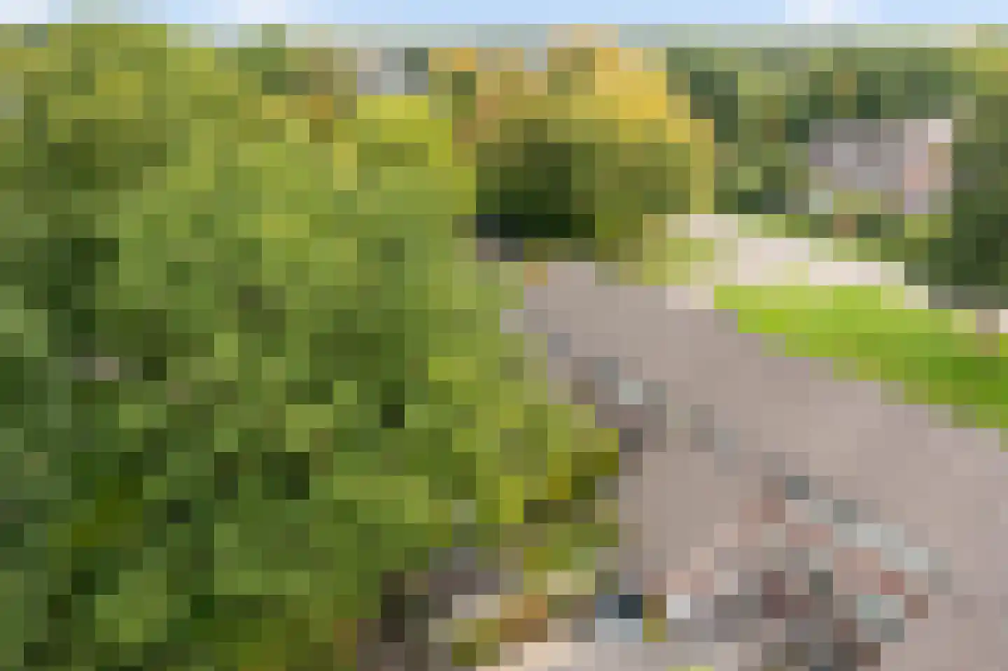 De Keeringen 54 Joure thumbnail 47