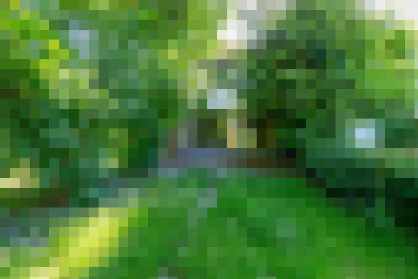 de Kei 612 Leeuwarden thumbnail 33
