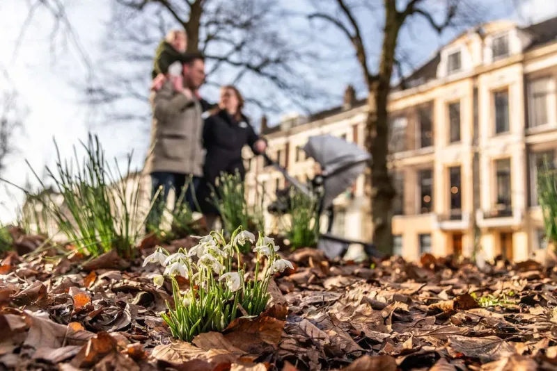 Kantoor foto van De Keizer makelaars Houten