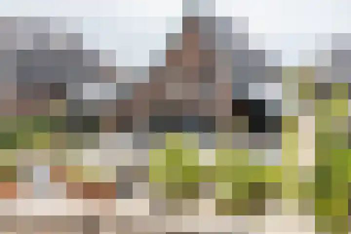 De Keizerlibel 19 in Eelderwolde