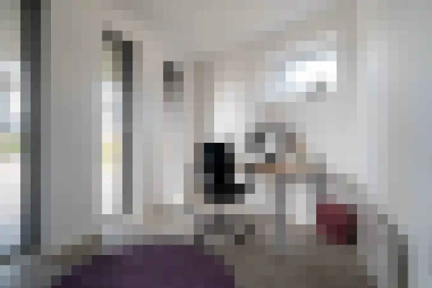De Keizerlibel 22 Eelderwolde thumbnail 11