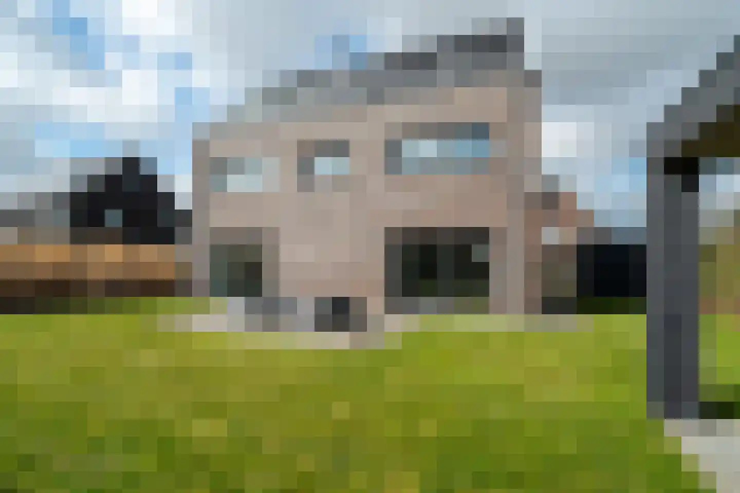 De Keizerlibel 22 Eelderwolde thumbnail 12