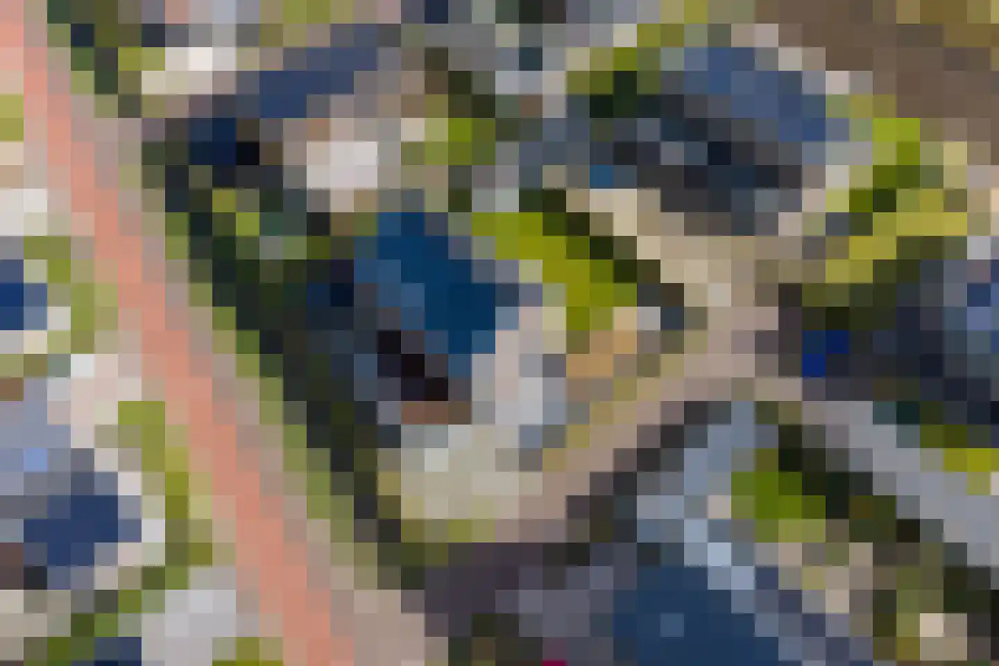 De Keizerlibel 22 Eelderwolde thumbnail 13