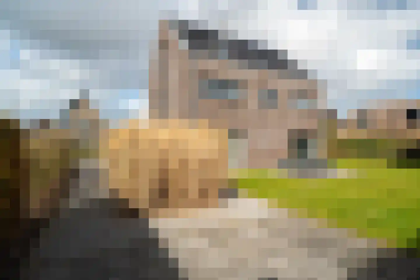 De Keizerlibel 22 Eelderwolde foto 3