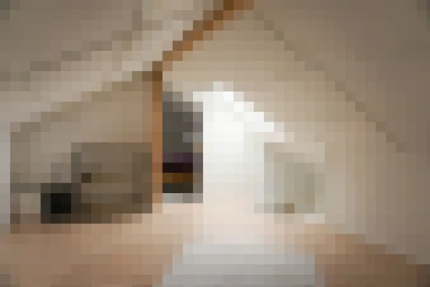 De Keizerskroon 201 Julianadorp thumbnail 19