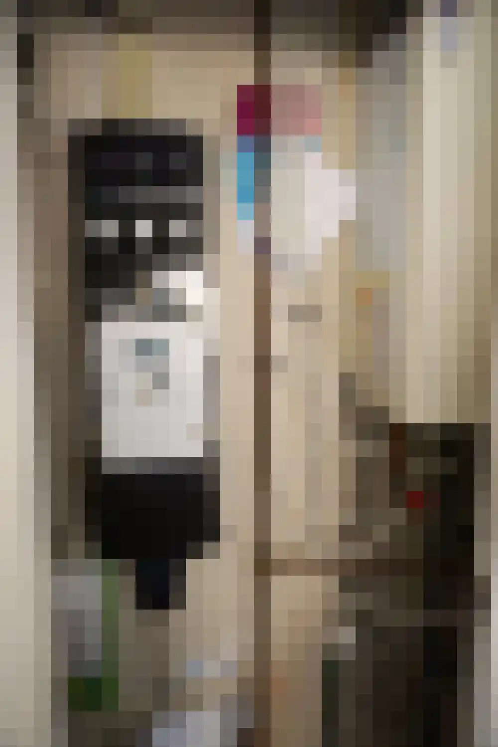 De Keizerskroon 201 Julianadorp thumbnail 21