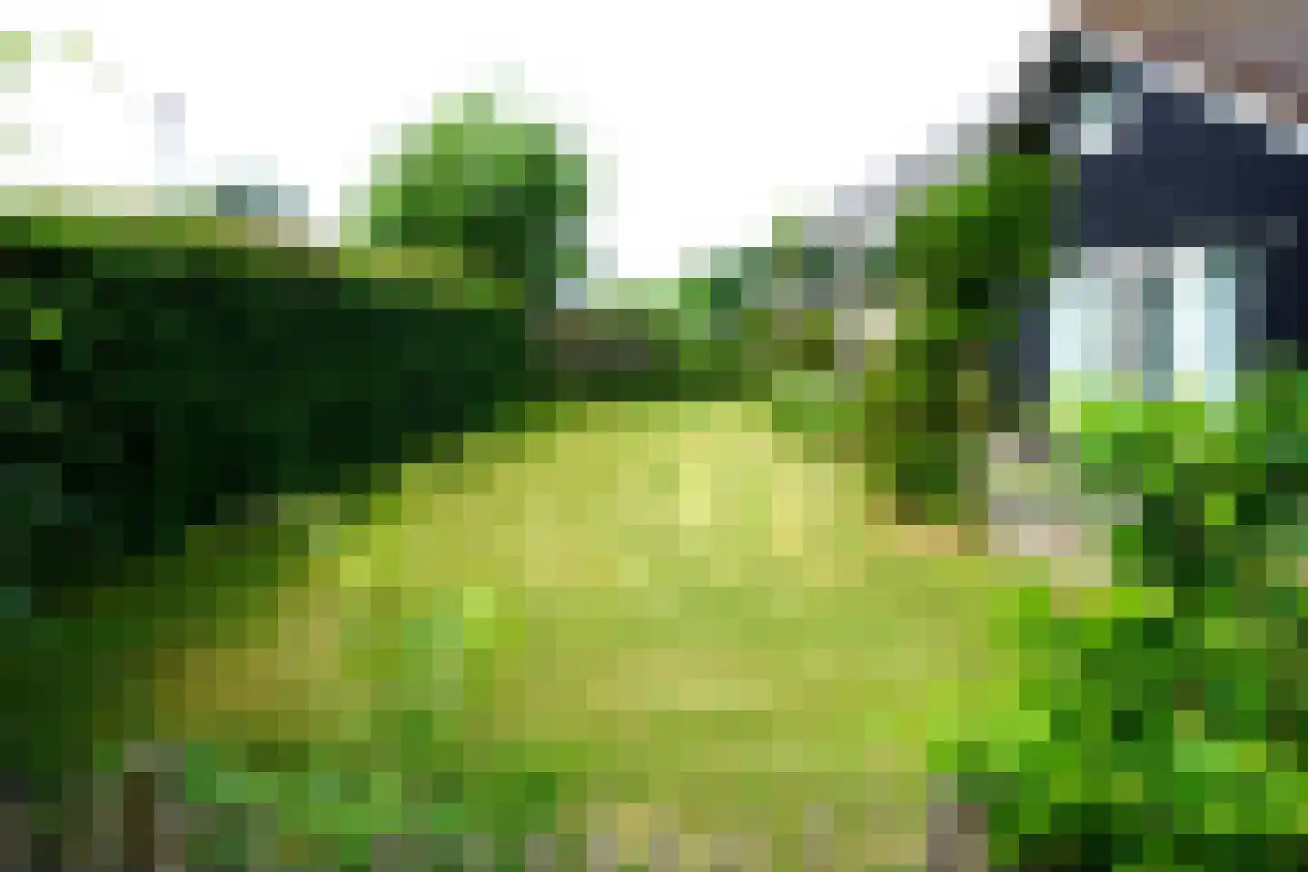 De Keizerskroon 201 Julianadorp thumbnail 23