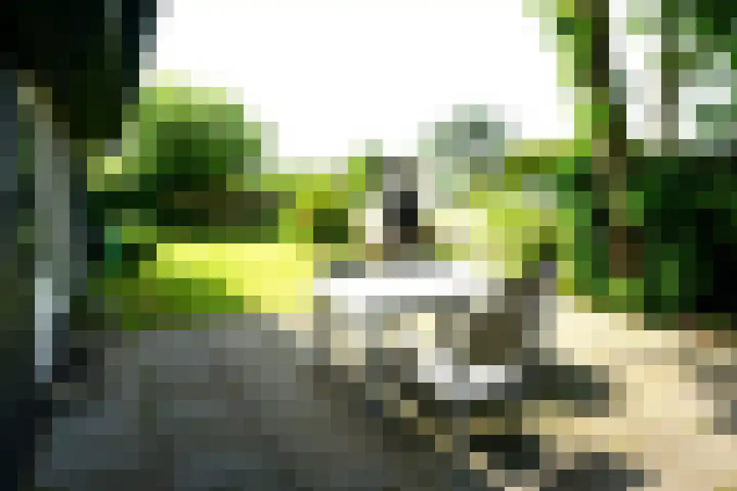 De Keizerskroon 201 Julianadorp thumbnail 26