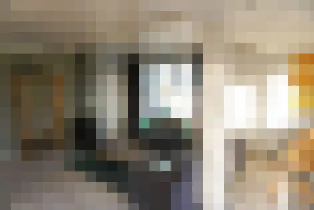De Keizerskroon 201 Julianadorp thumbnail 5