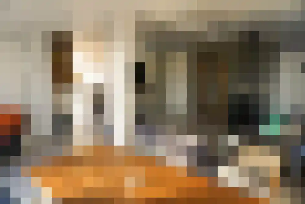 De Keizerskroon 201 Julianadorp thumbnail 6