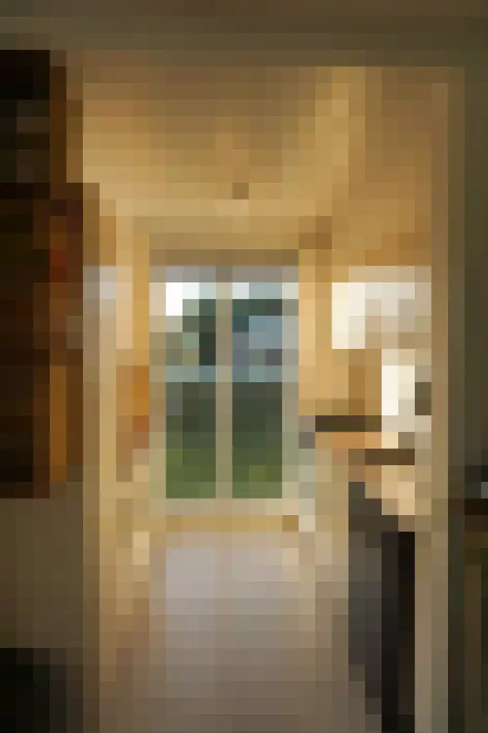De Keizerskroon 201 Julianadorp thumbnail 8