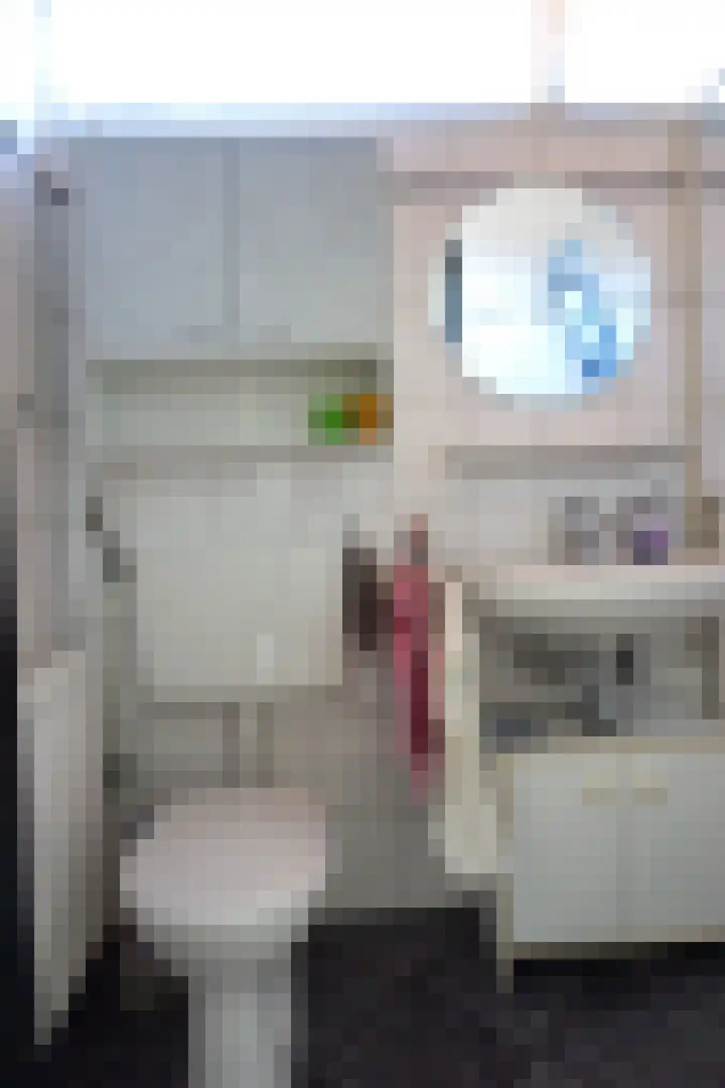 De Keizerskroon 213 Julianadorp thumbnail 13