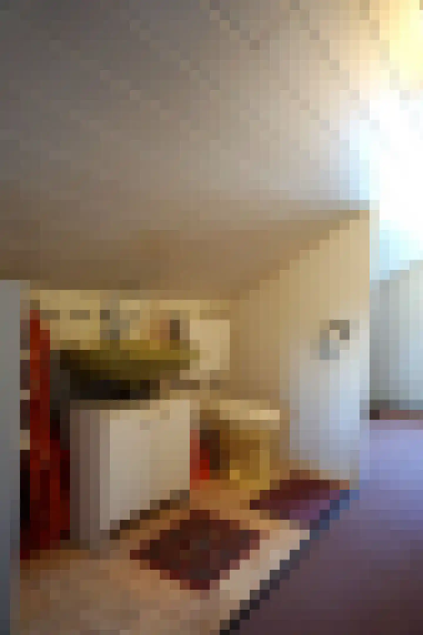 De Keizerskroon 213 Julianadorp thumbnail 21