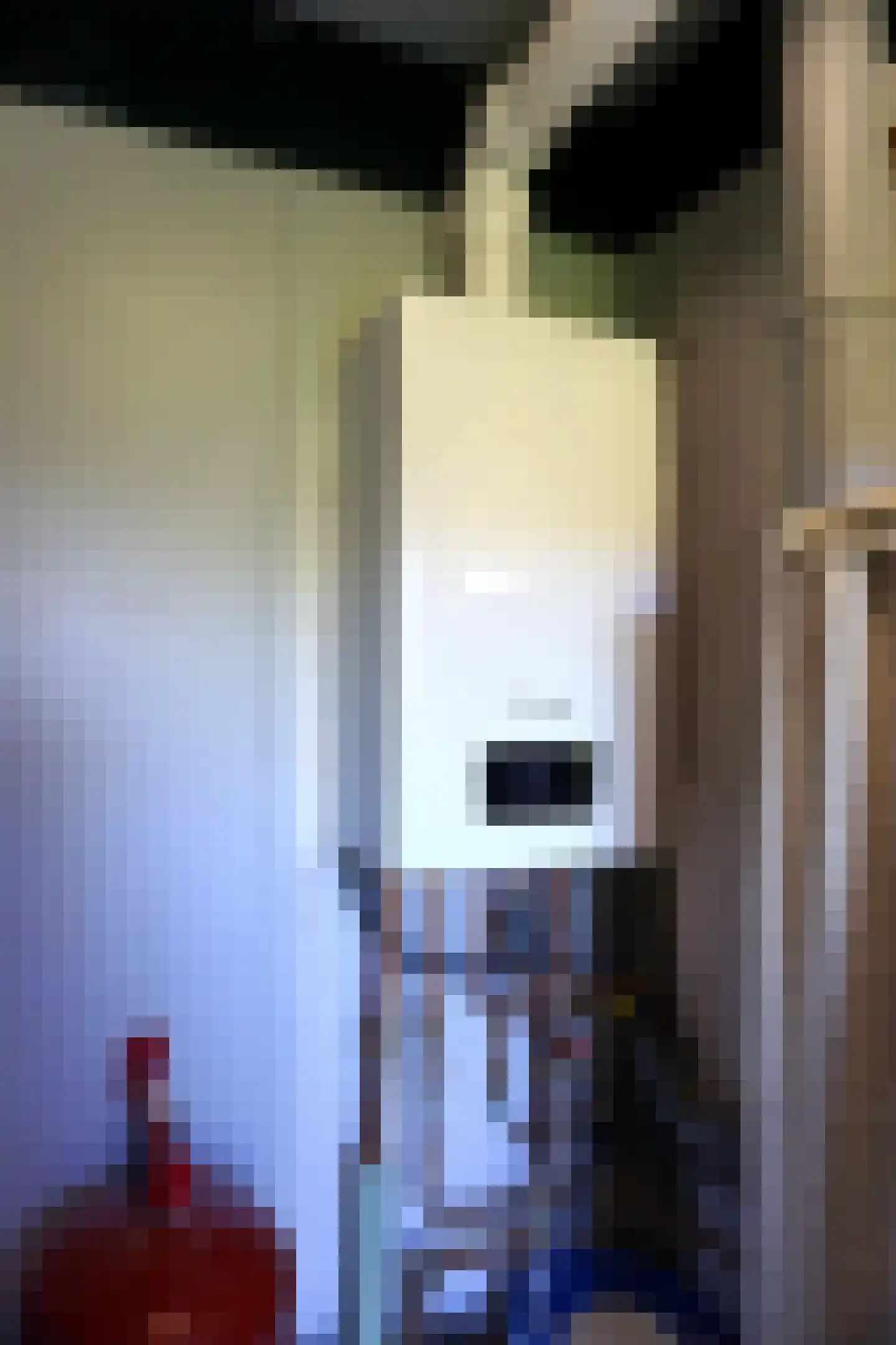 De Keizerskroon 213 Julianadorp thumbnail 22