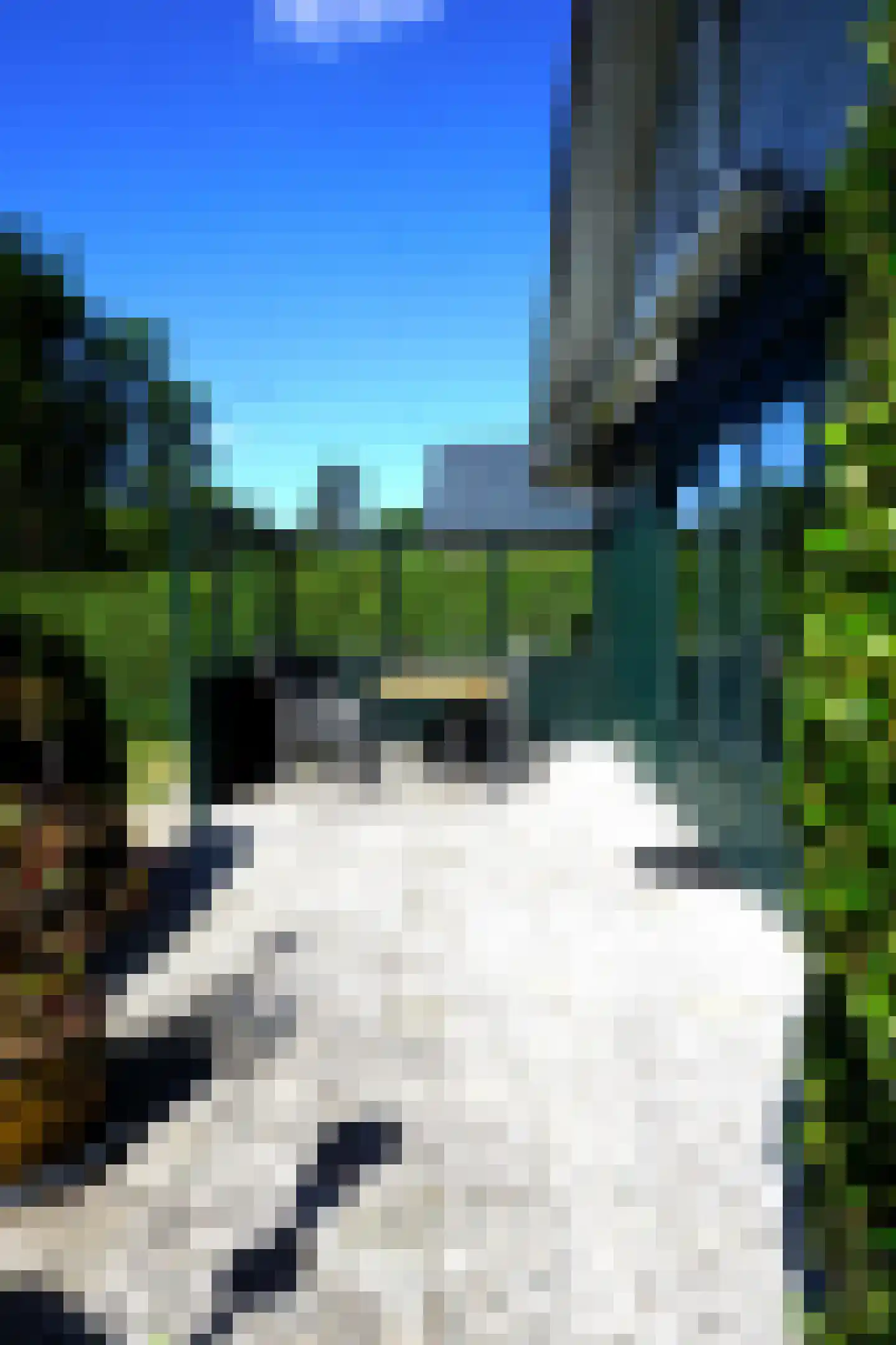 De Keizerskroon 213 Julianadorp thumbnail 29