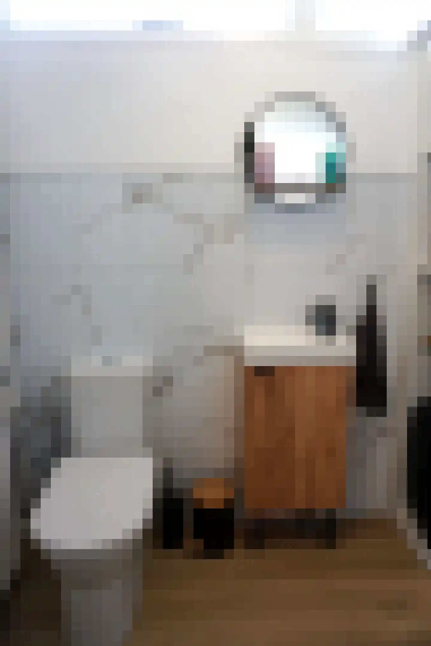 De Keizerskroon 231 Julianadorp thumbnail 10