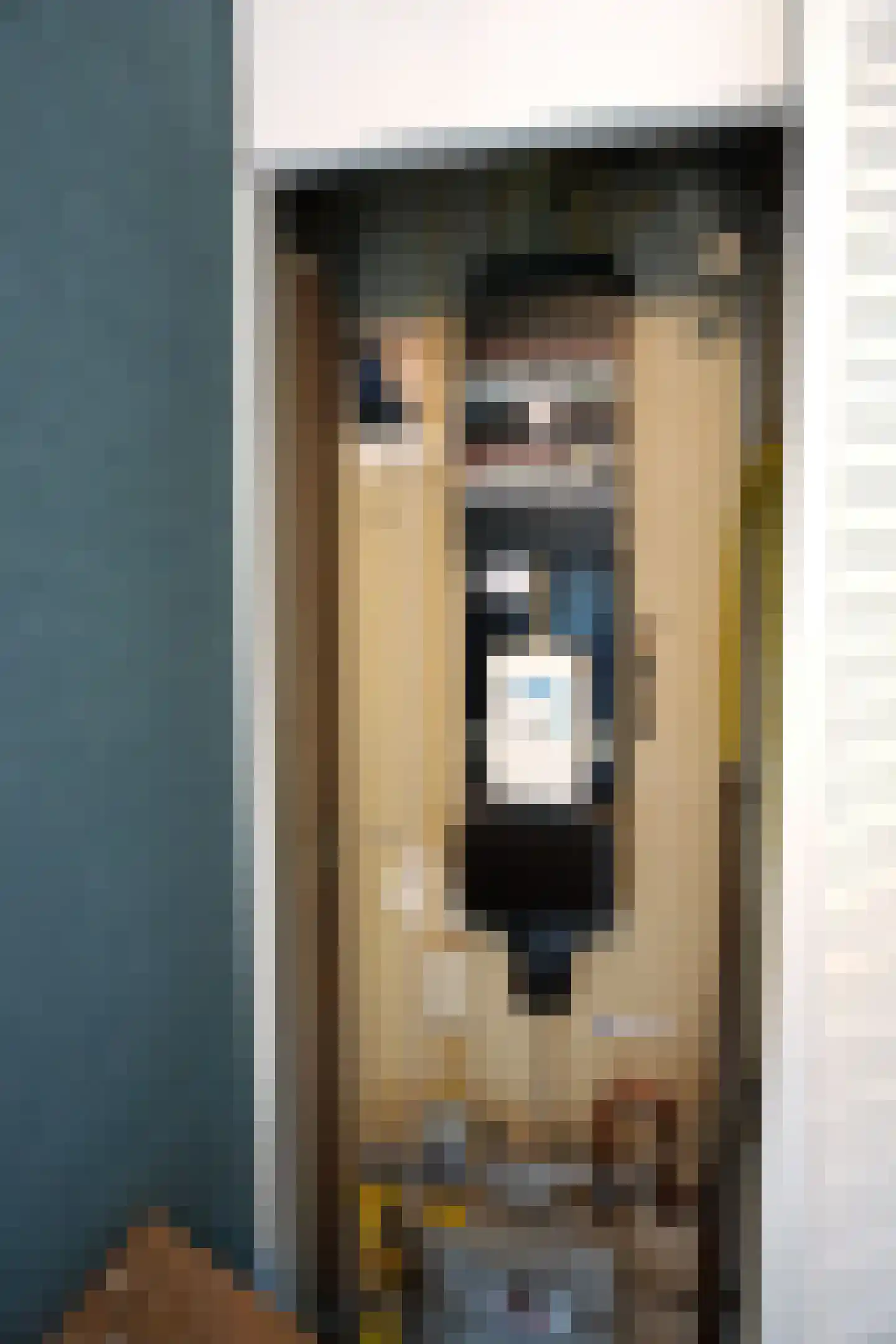 De Keizerskroon 231 Julianadorp thumbnail 16