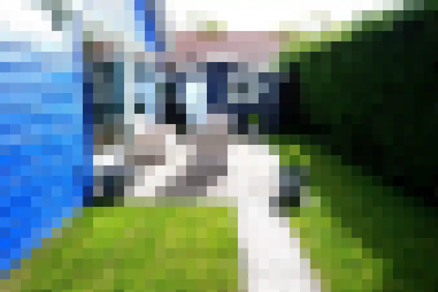 De Keizerskroon 231 Julianadorp thumbnail 18