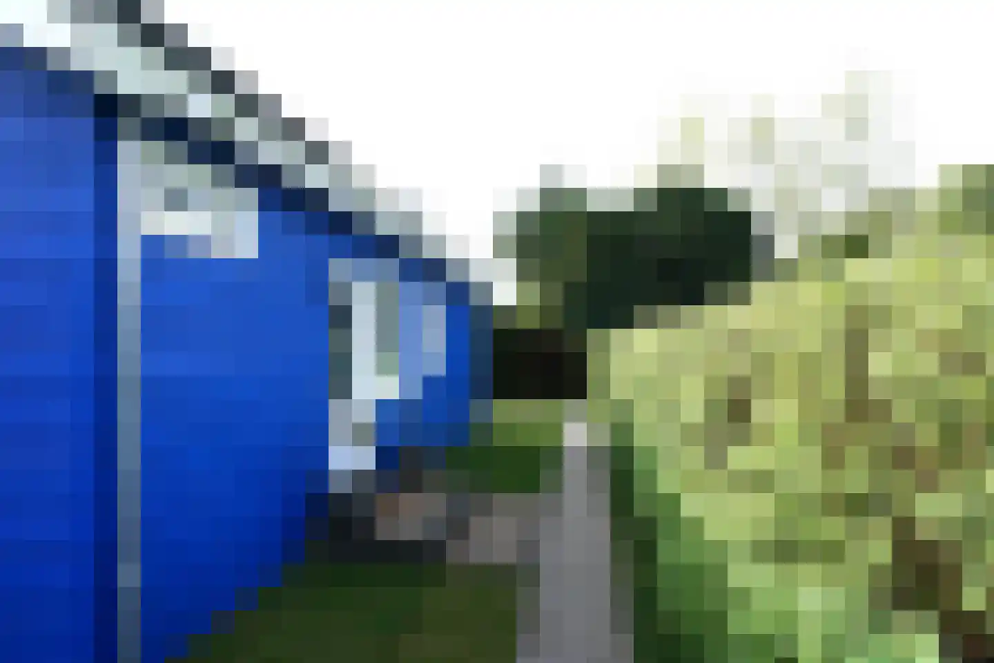 De Keizerskroon 231 Julianadorp thumbnail 23