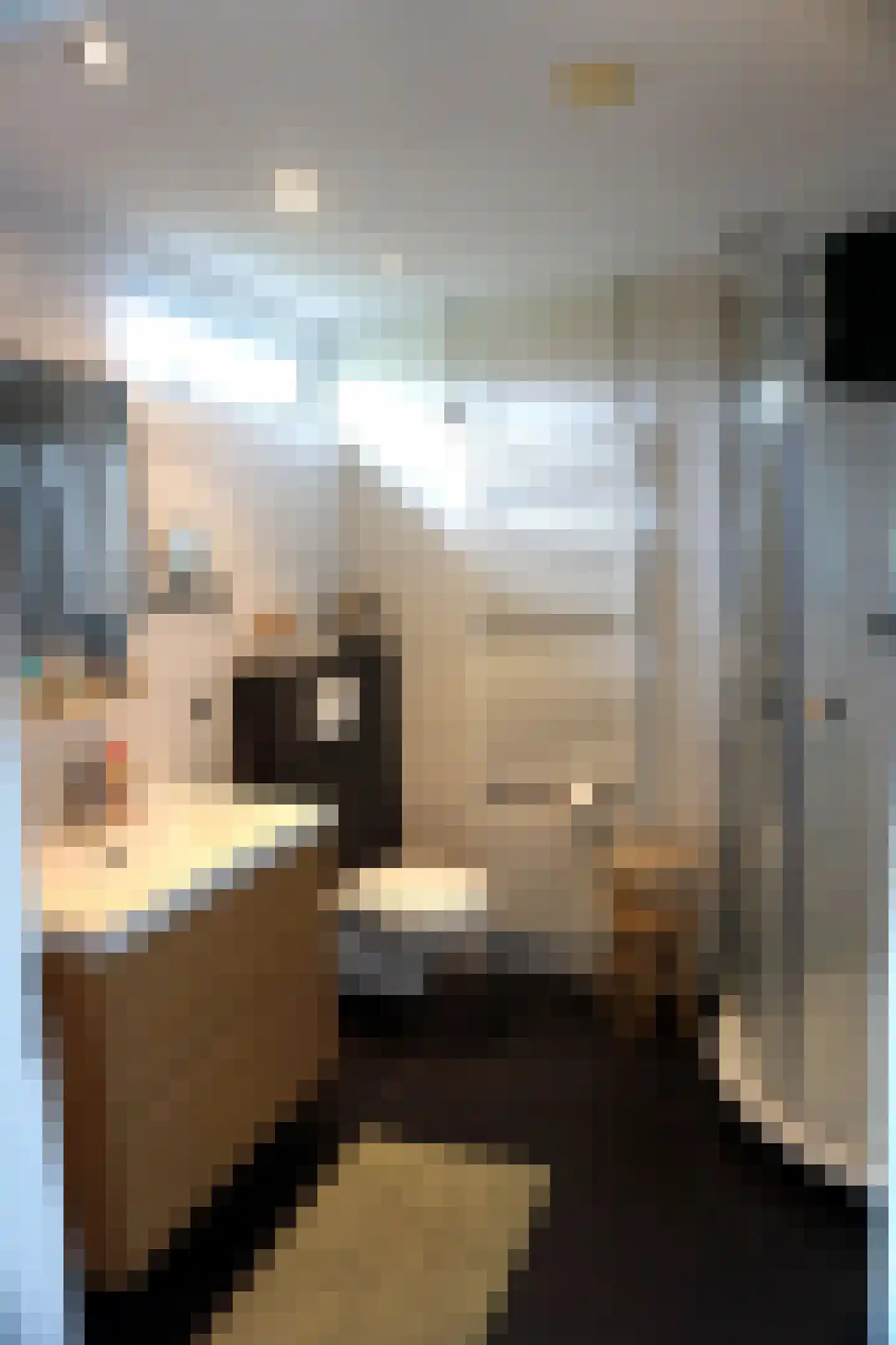 De Keizerskroon 231 Julianadorp thumbnail 9
