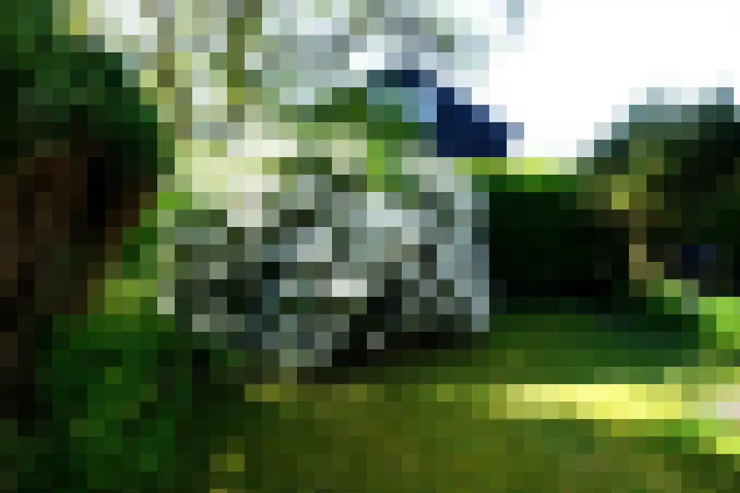 De Keizerskroon 232 Julianadorp thumbnail 28