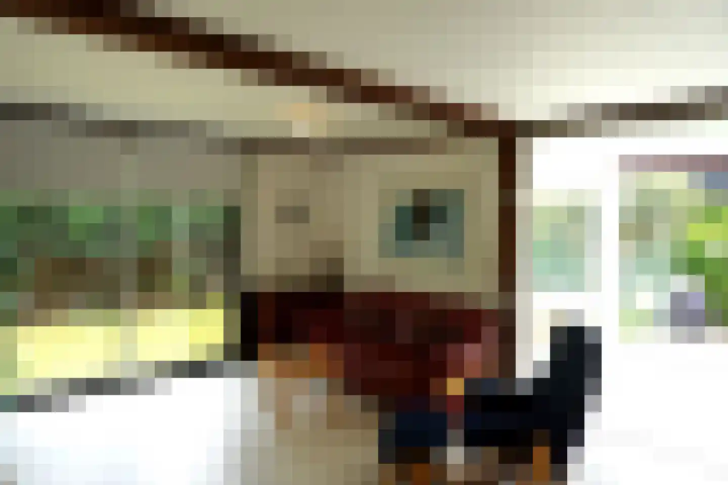 De Keizerskroon 232 Julianadorp thumbnail 4
