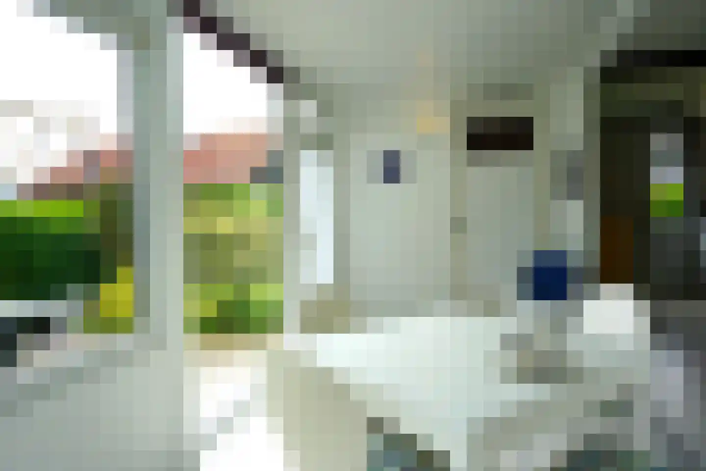 De Keizerskroon 232 Julianadorp thumbnail 6