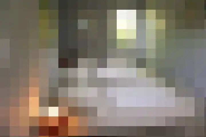 De Keizerskroon 267 Julianadorp thumbnail 10