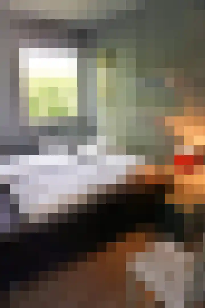 De Keizerskroon 267 Julianadorp thumbnail 11
