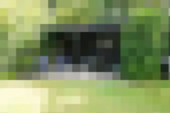 De Keizerskroon 267 Julianadorp thumbnail 16