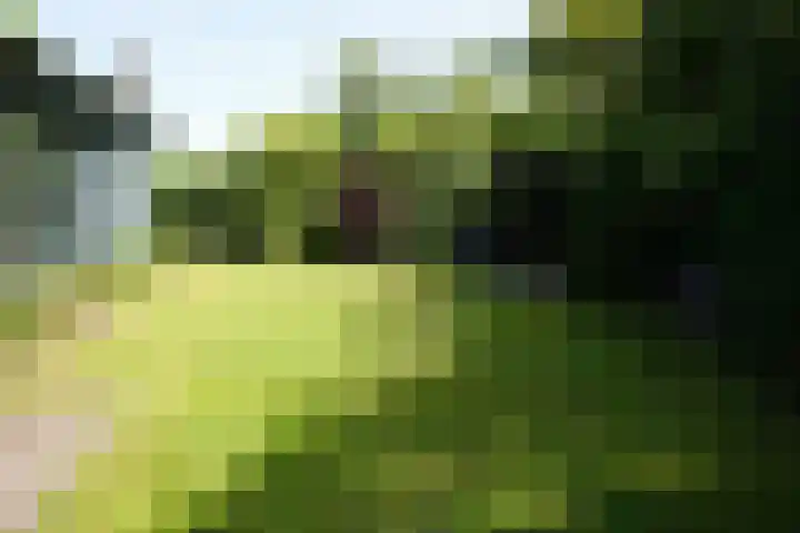 De Keizerskroon 267 Julianadorp thumbnail 20