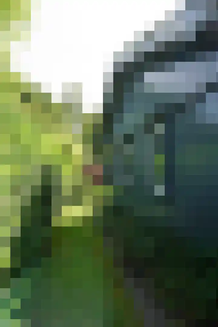 De Keizerskroon 267 Julianadorp thumbnail 22