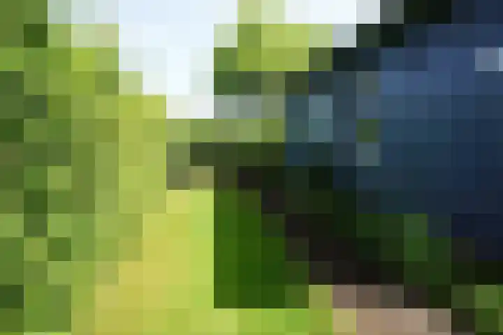 De Keizerskroon 267 Julianadorp thumbnail 24