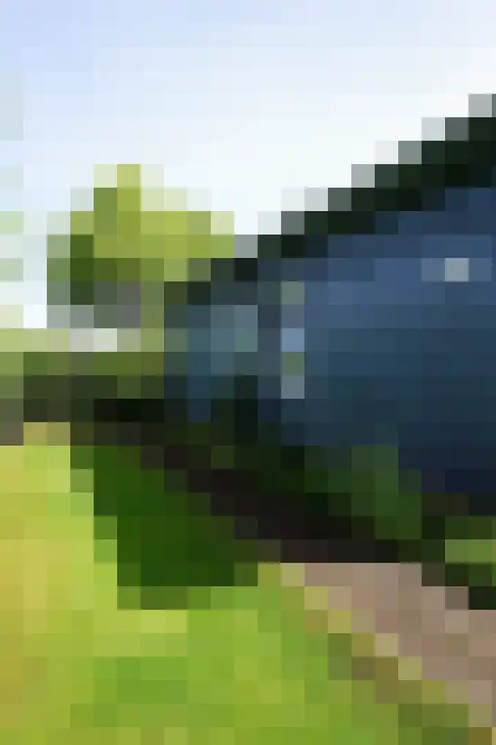 De Keizerskroon 267 Julianadorp thumbnail 25