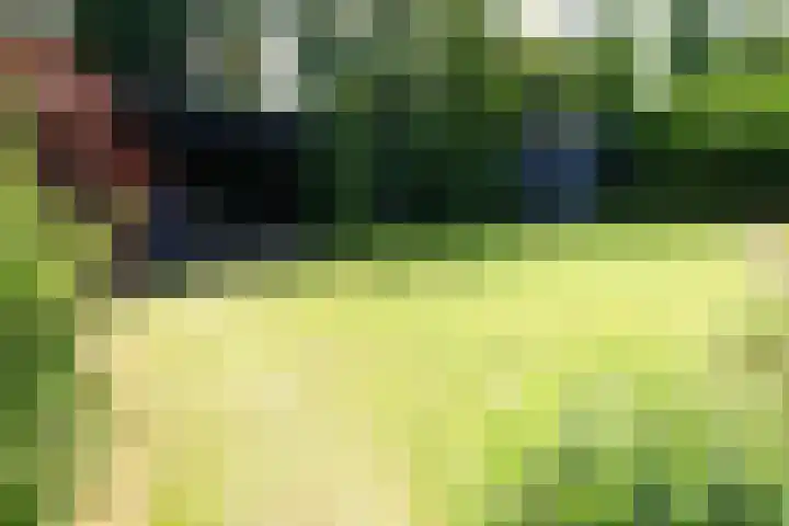 De Keizerskroon 267 Julianadorp thumbnail 27