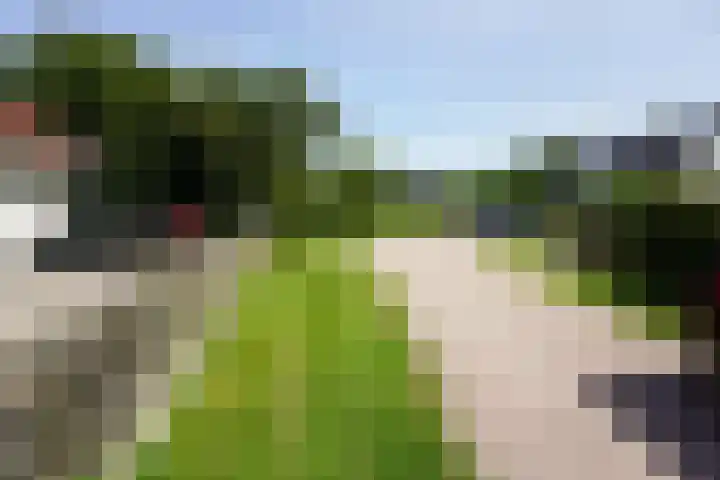 De Keizerskroon 267 Julianadorp thumbnail 28