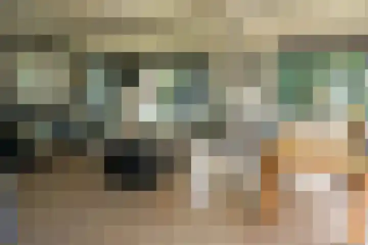 De Keizerskroon 267 Julianadorp thumbnail 6