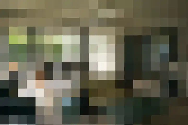 De Keizerskroon 267 Julianadorp thumbnail 7